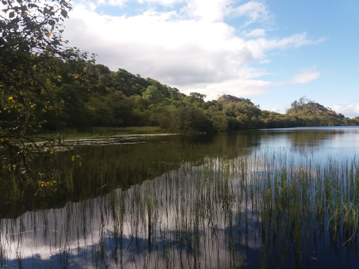 Knapdale Scottish Beaver Trail - Image 4
