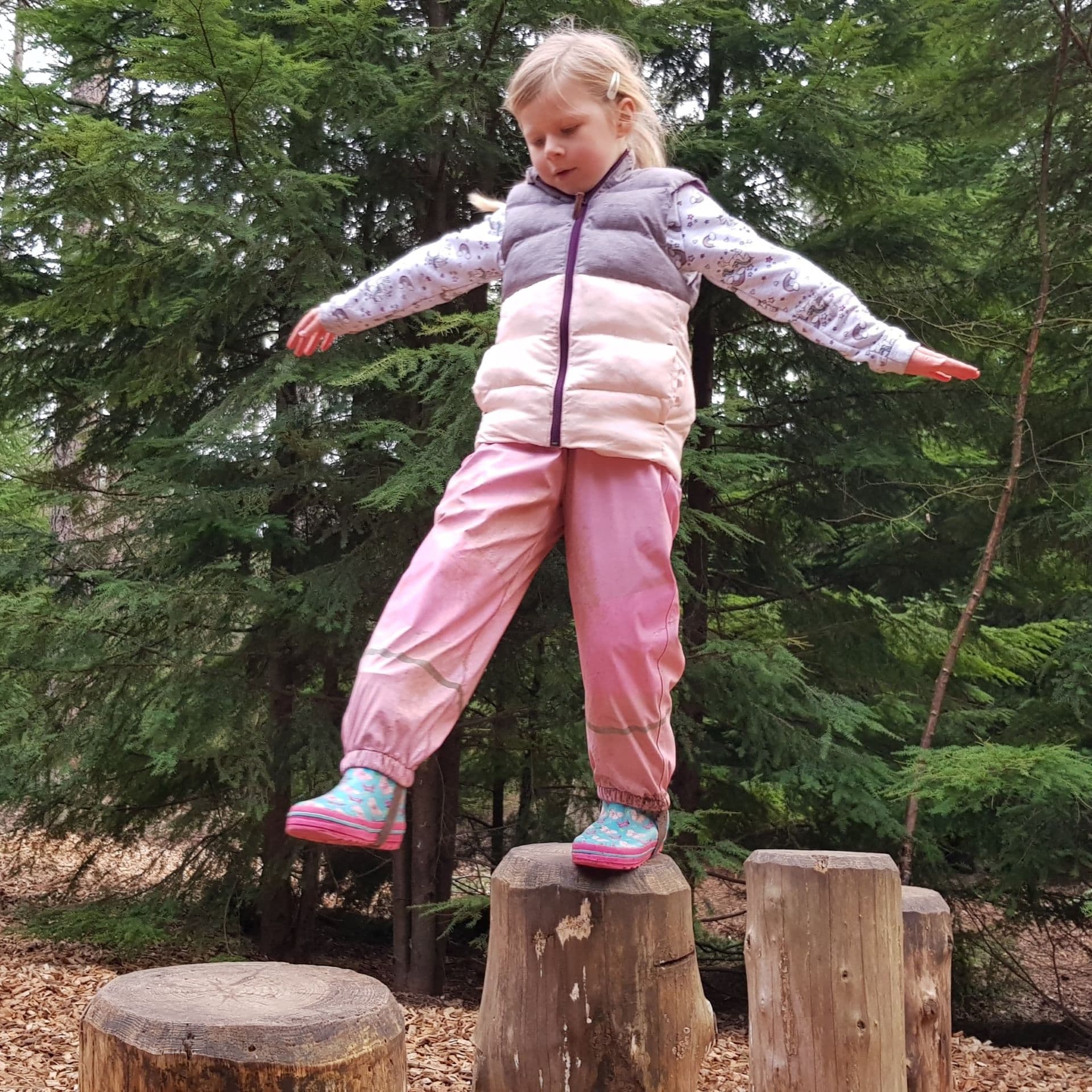 Go Ape Normanby Hall - Image 3