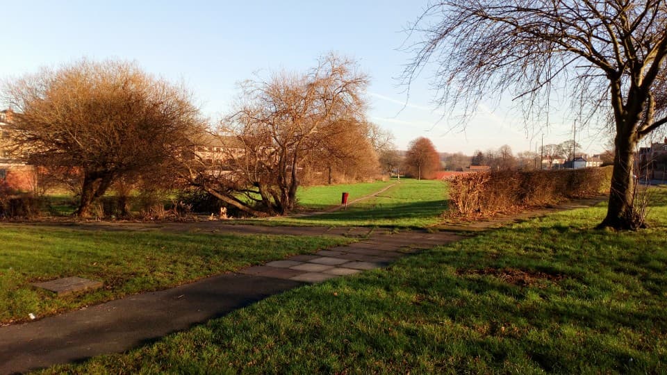 Greasbrough Park - Main view