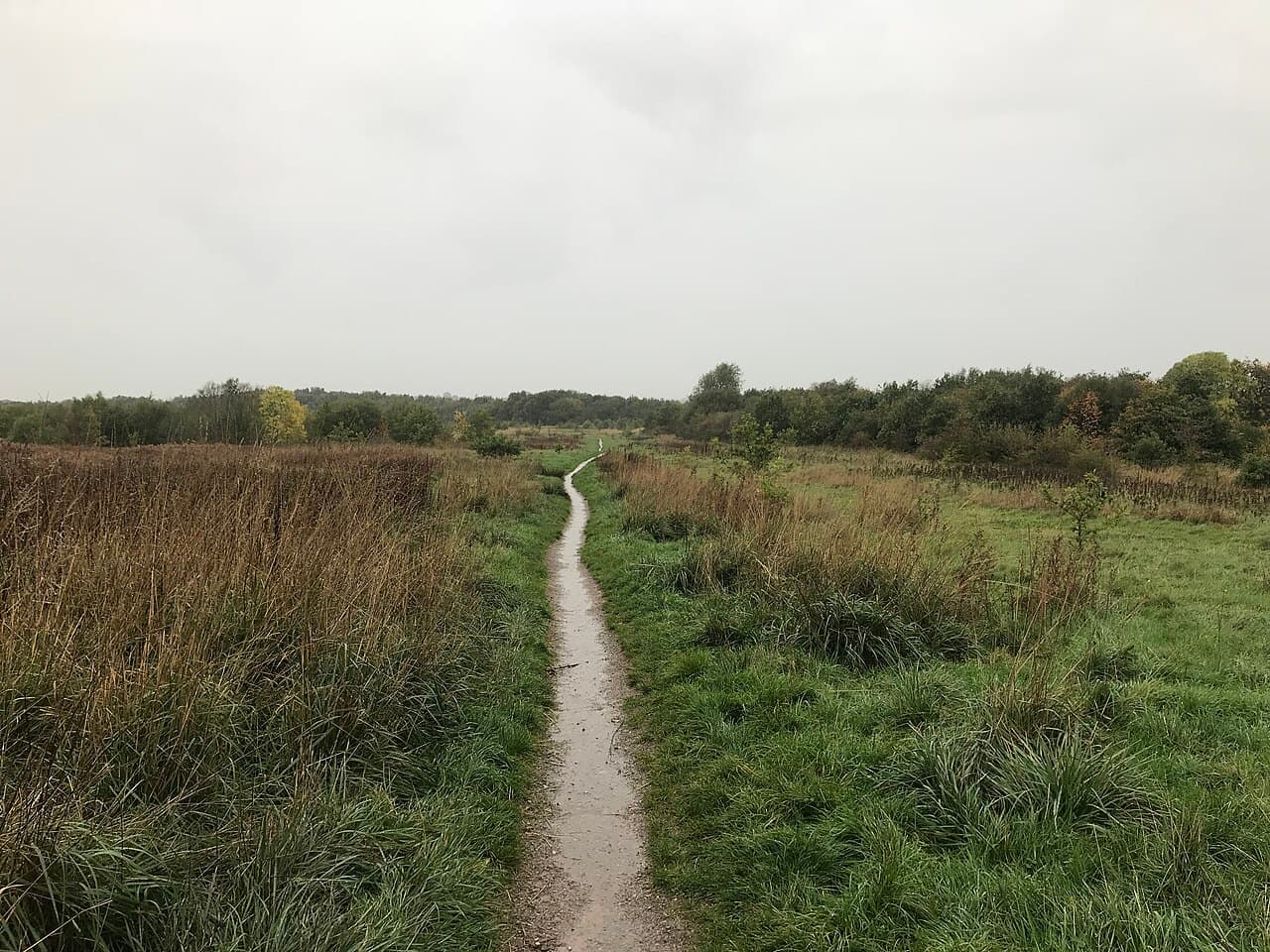 Bateswood Nature Reserve - Main view