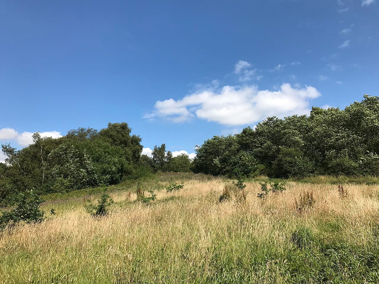 Bateswood Nature Reserve - Image 3