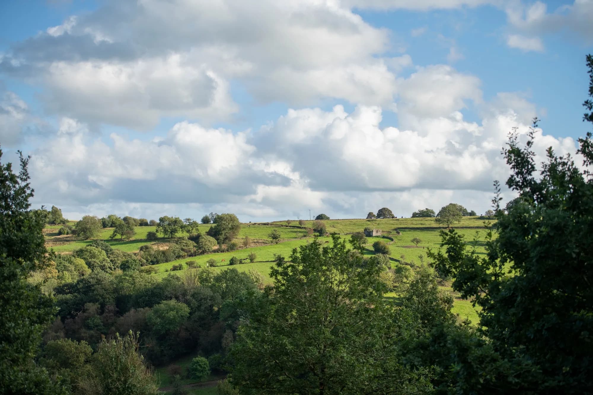 RSPB Coombes Valley - Image 2