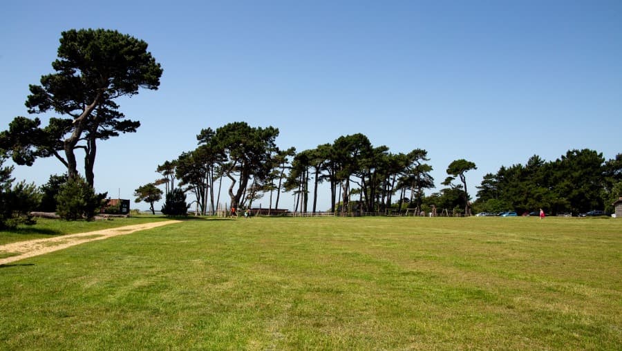 Lepe Country Park - Image 2
