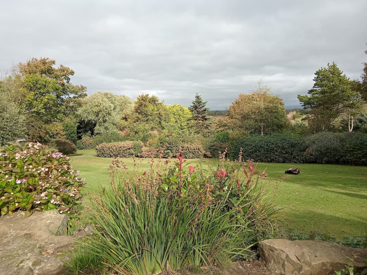 Devonshire Road Rock Gardens - Main view
