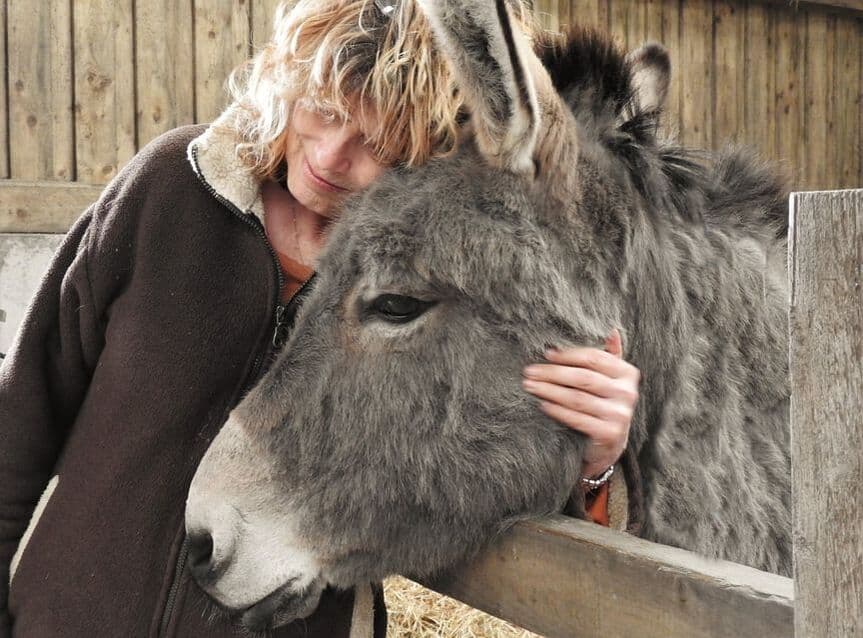 The Flicka Foundation Donkey Sanctuary - Image 1