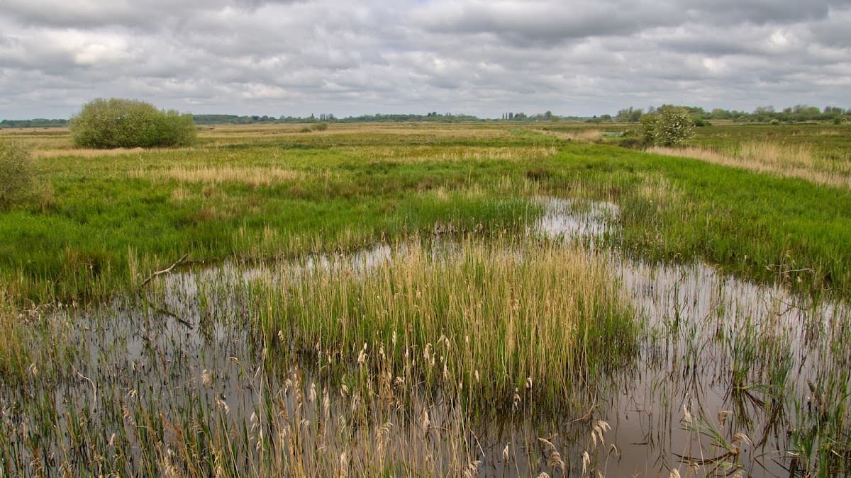 Carlton Marshes Nature Reserve - Main view
