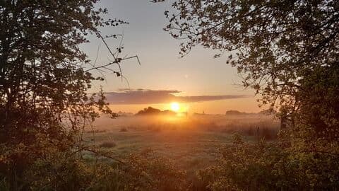 Carlton Marshes Nature Reserve - Image 3