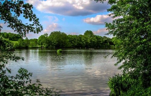 Langold Country Park - Main view