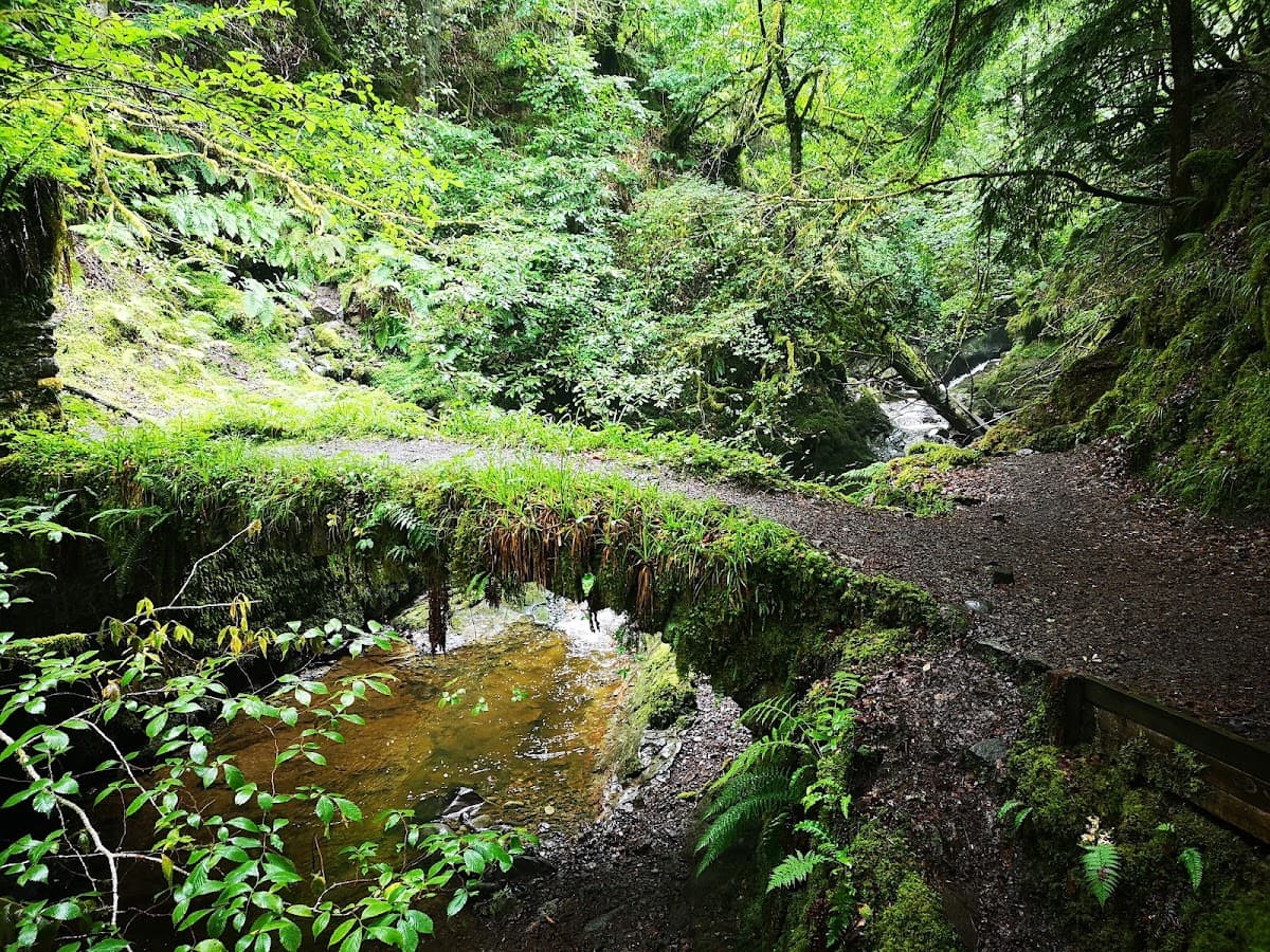 Reelig Glen - Image 2
