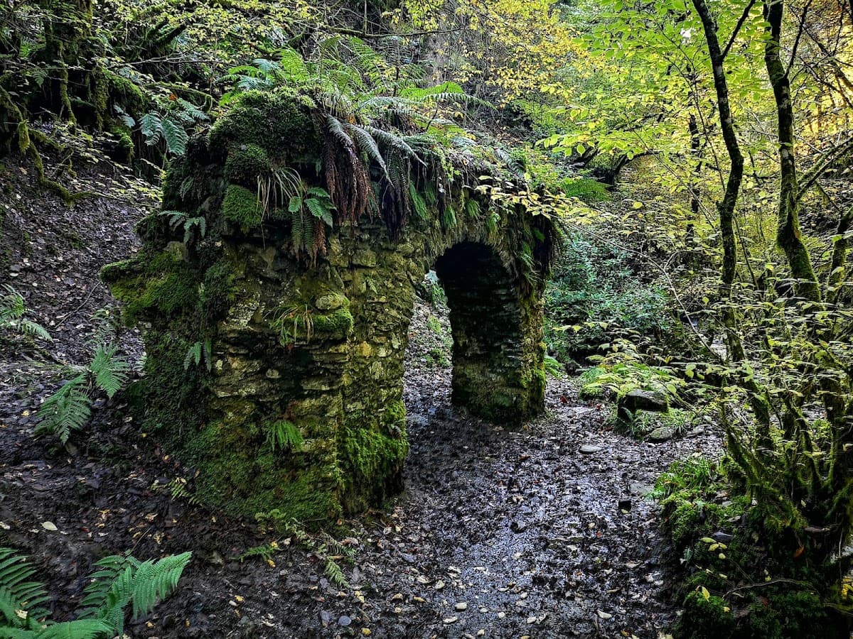 Reelig Glen - Image 3