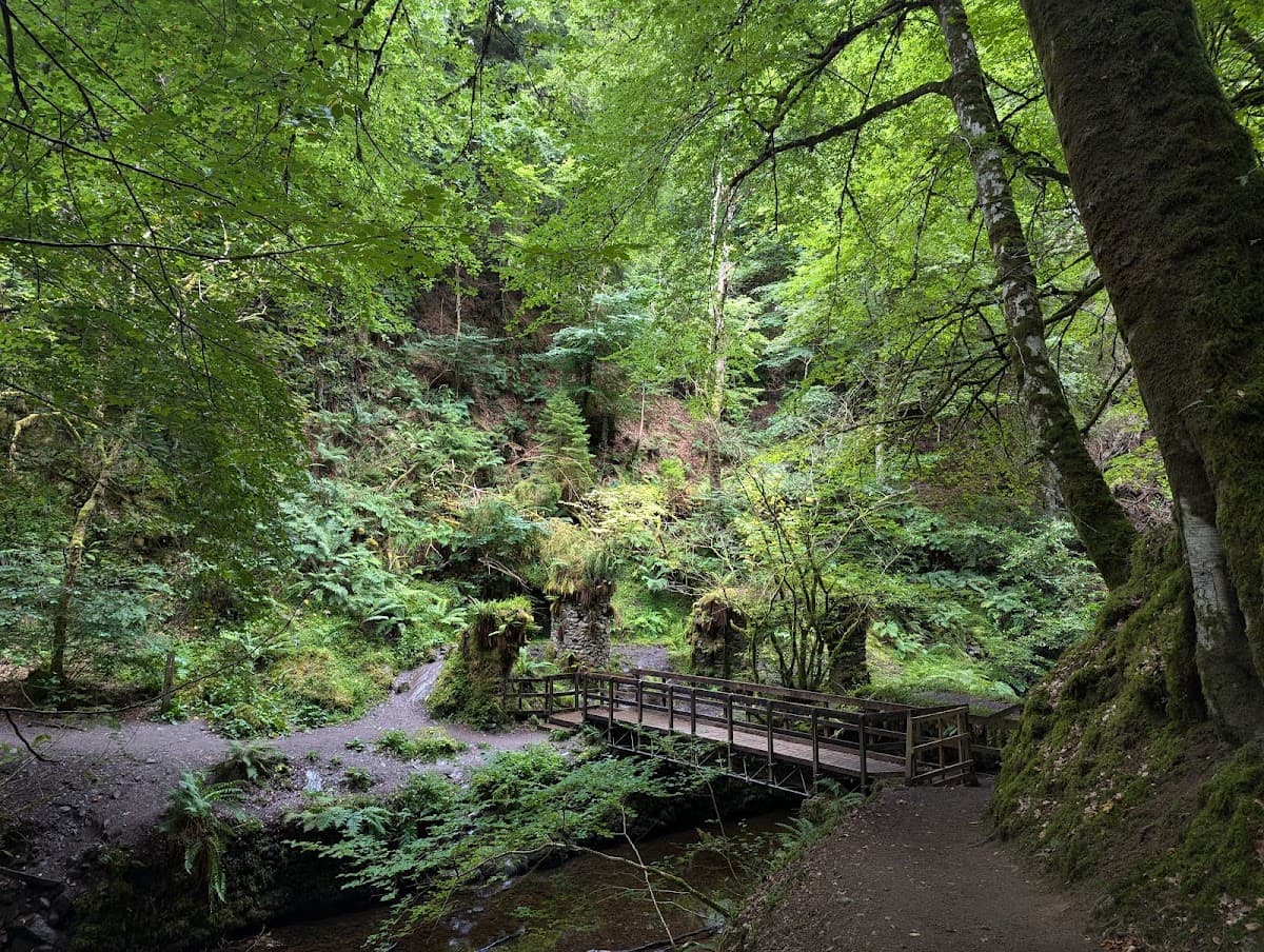 Reelig Glen - Image 4