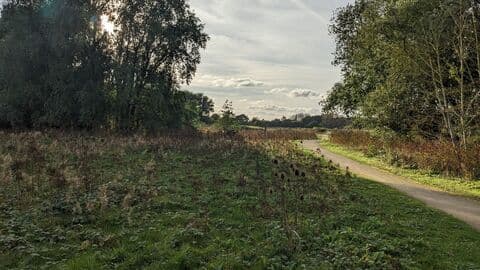 Barlow Common Nature Reserve - Image 3