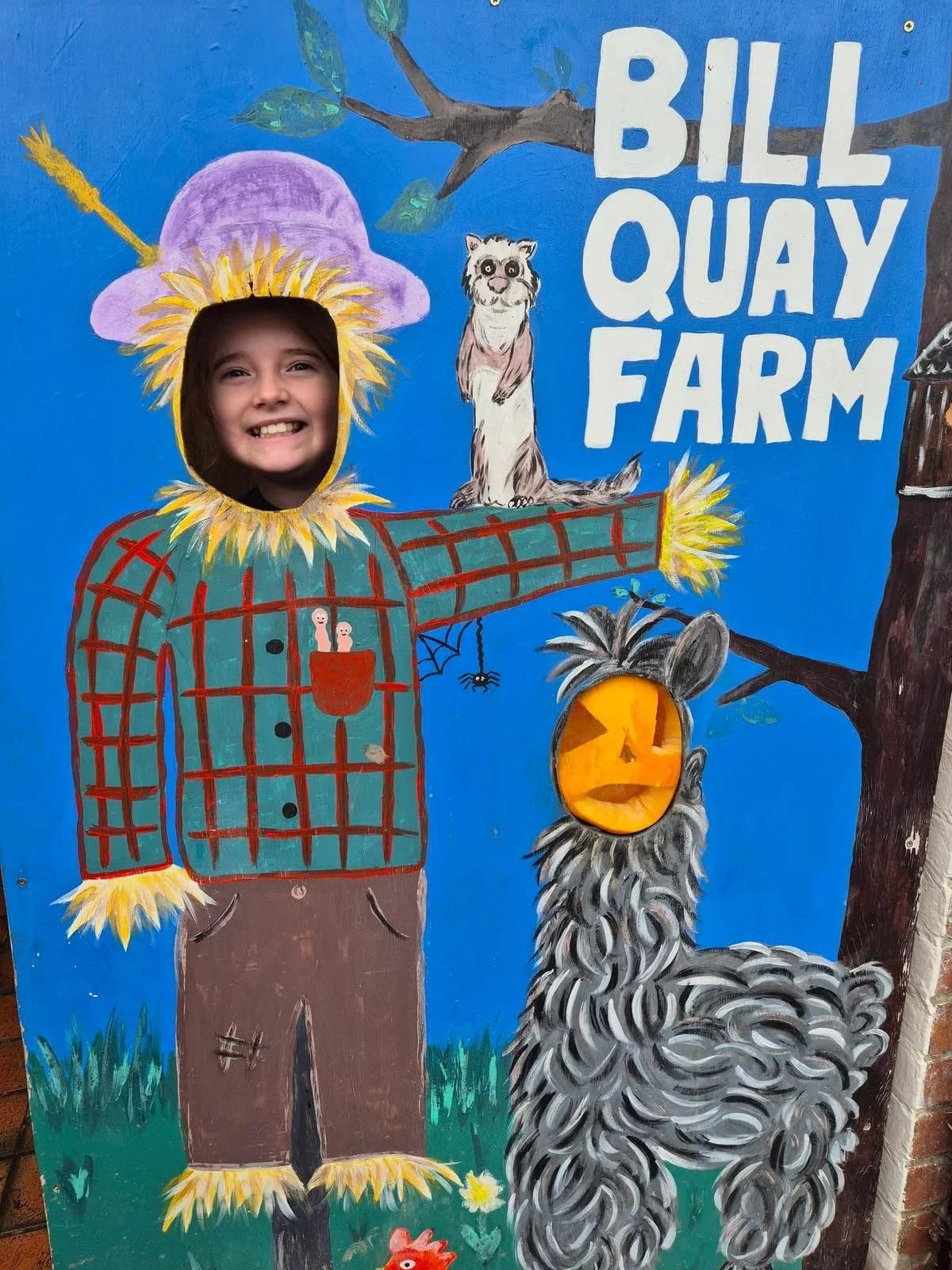 Bill Quay Community Farm - Image 2