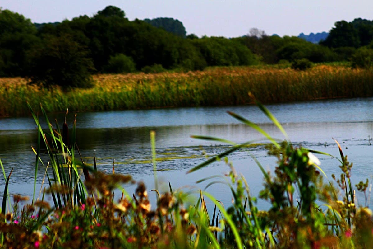 Staveley Nature Reserve - Image 1