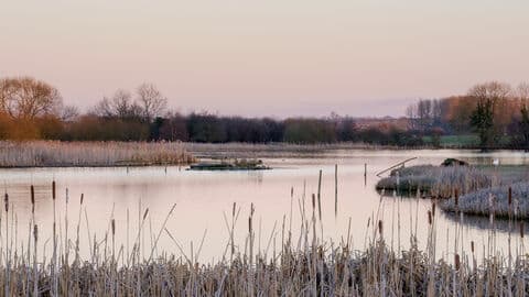 Staveley Nature Reserve - Image 2