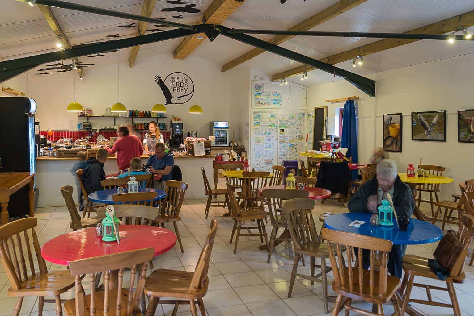 National Centre for Birds of Prey (NCBP) - Main view