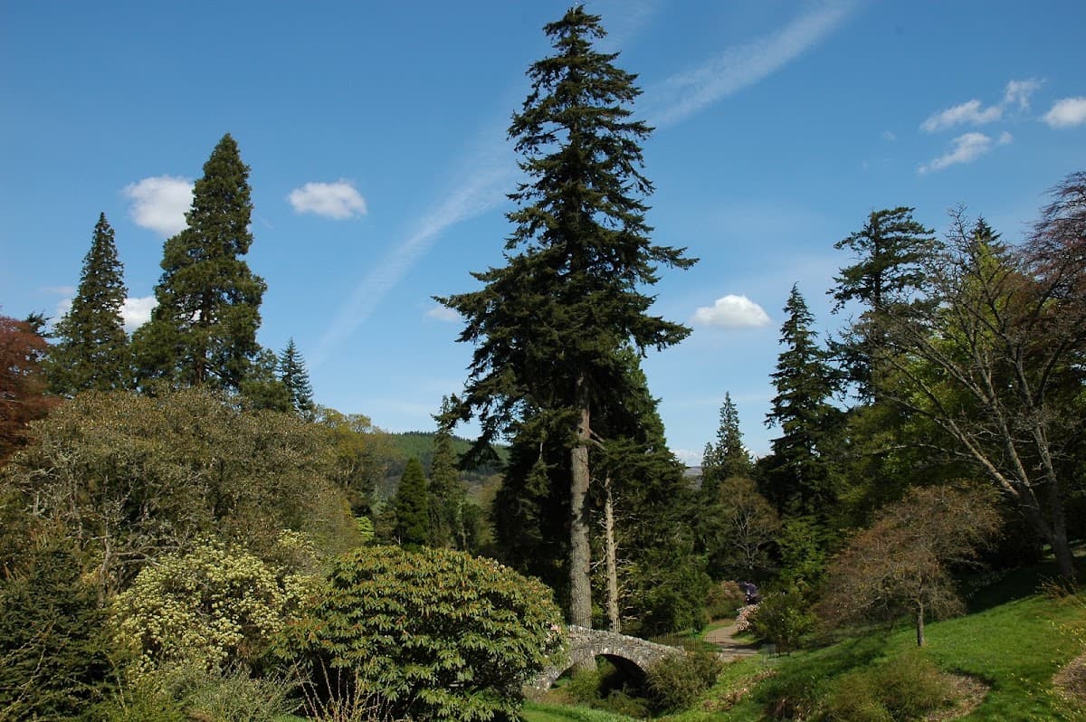 Dawyck Botanic Garden - Main view