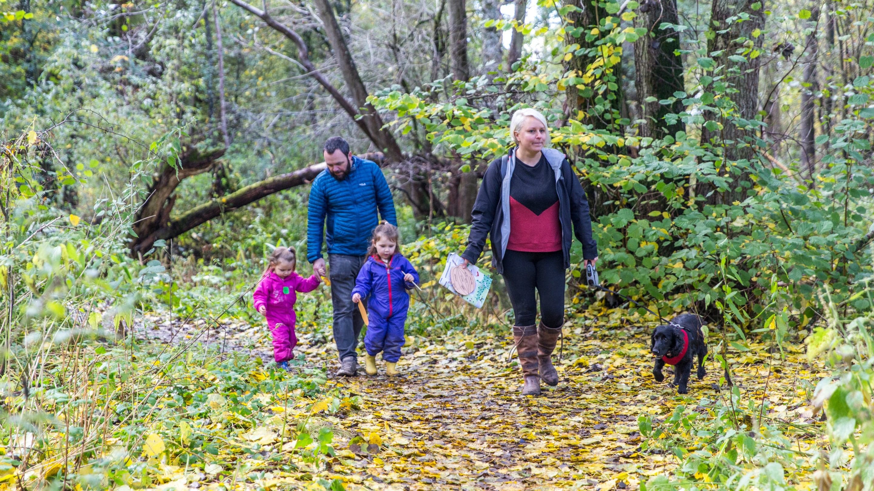 National Trust - Acorn Bank - Image 2