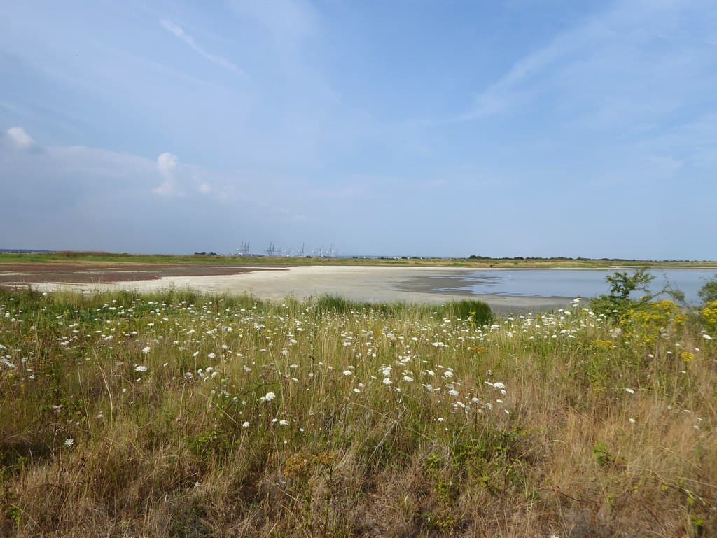RSPB Cliffe Pools - Main view