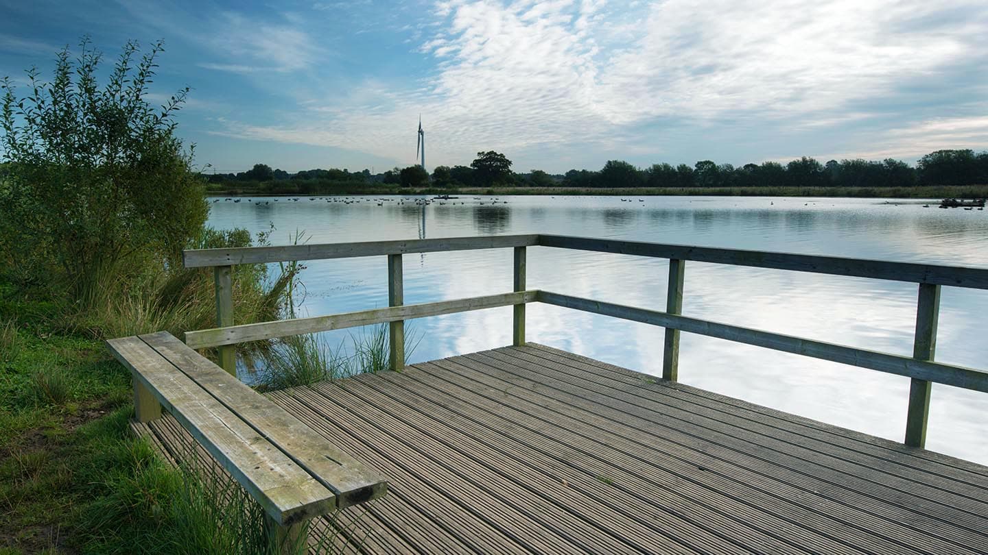Queen Elizabeth Diamond Jubilee Wood - Main view