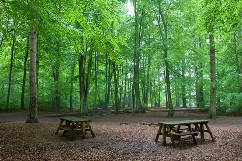 Chipperfield Common - Main view