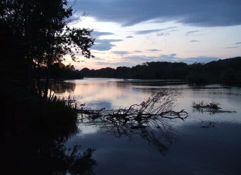 Sprotbrough Flash - Image 3