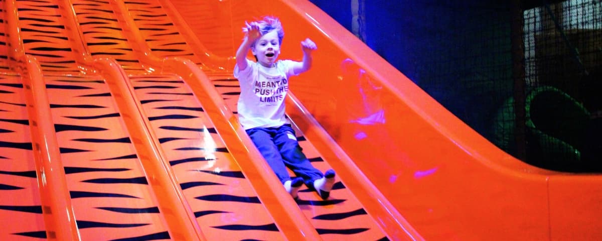 Wild ‘n' Wacky - Image 4