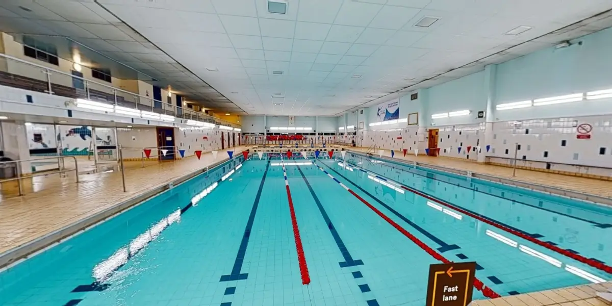 The Dolphin - Image 4
