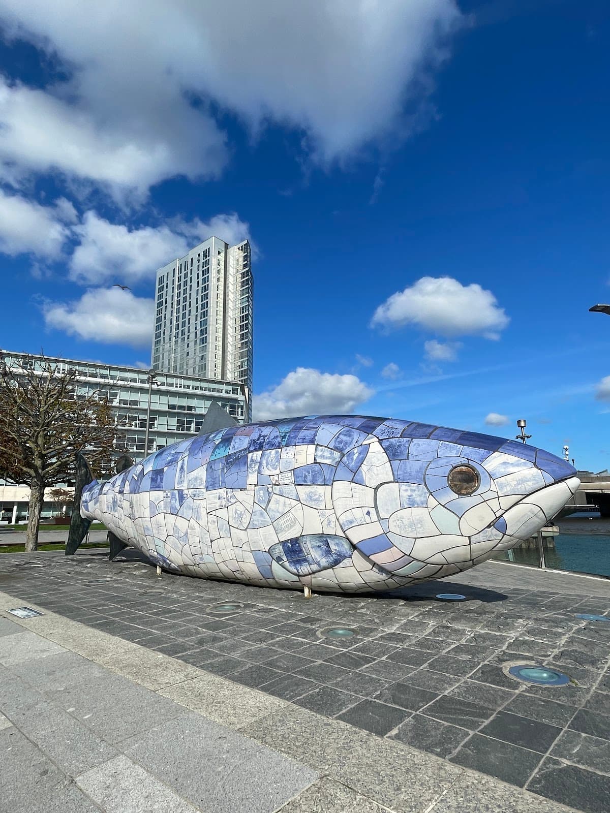 The Salmon of Knowledge - Image 2