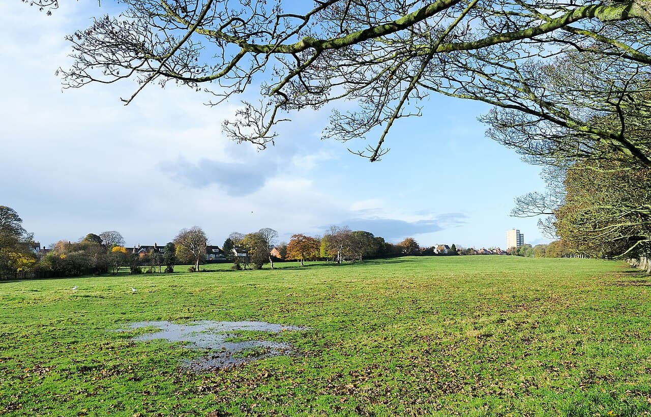 Nuns Moor Park - Main view