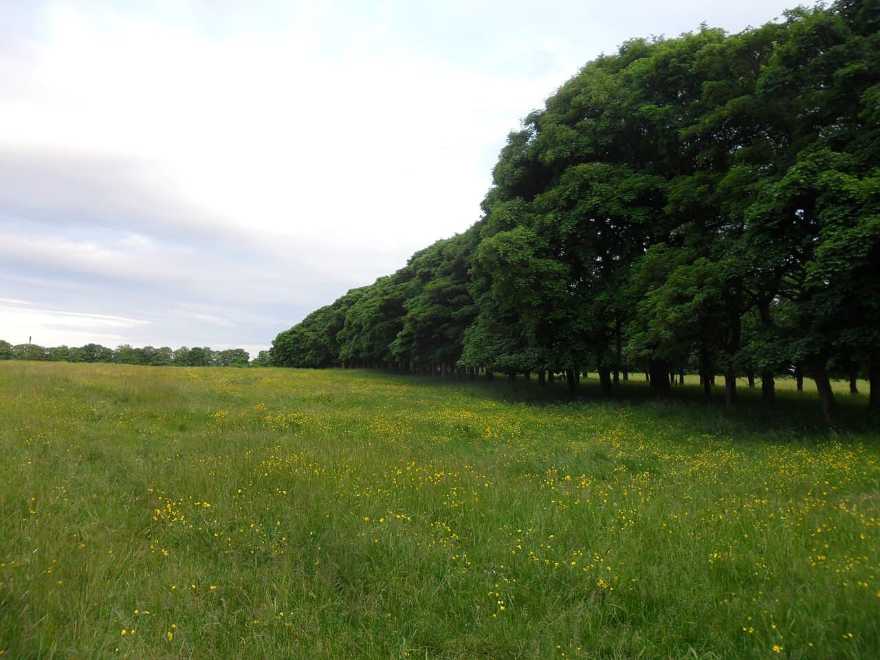 Nuns Moor Park - Image 2