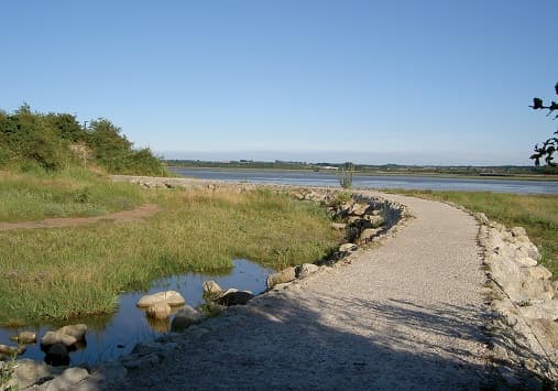 Riverside Country Park - Image 2