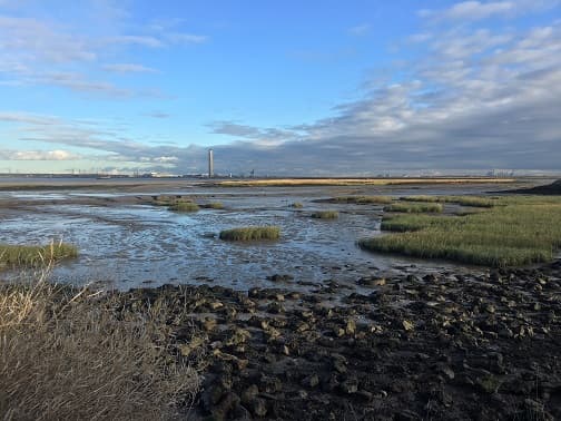 Riverside Country Park - Image 3