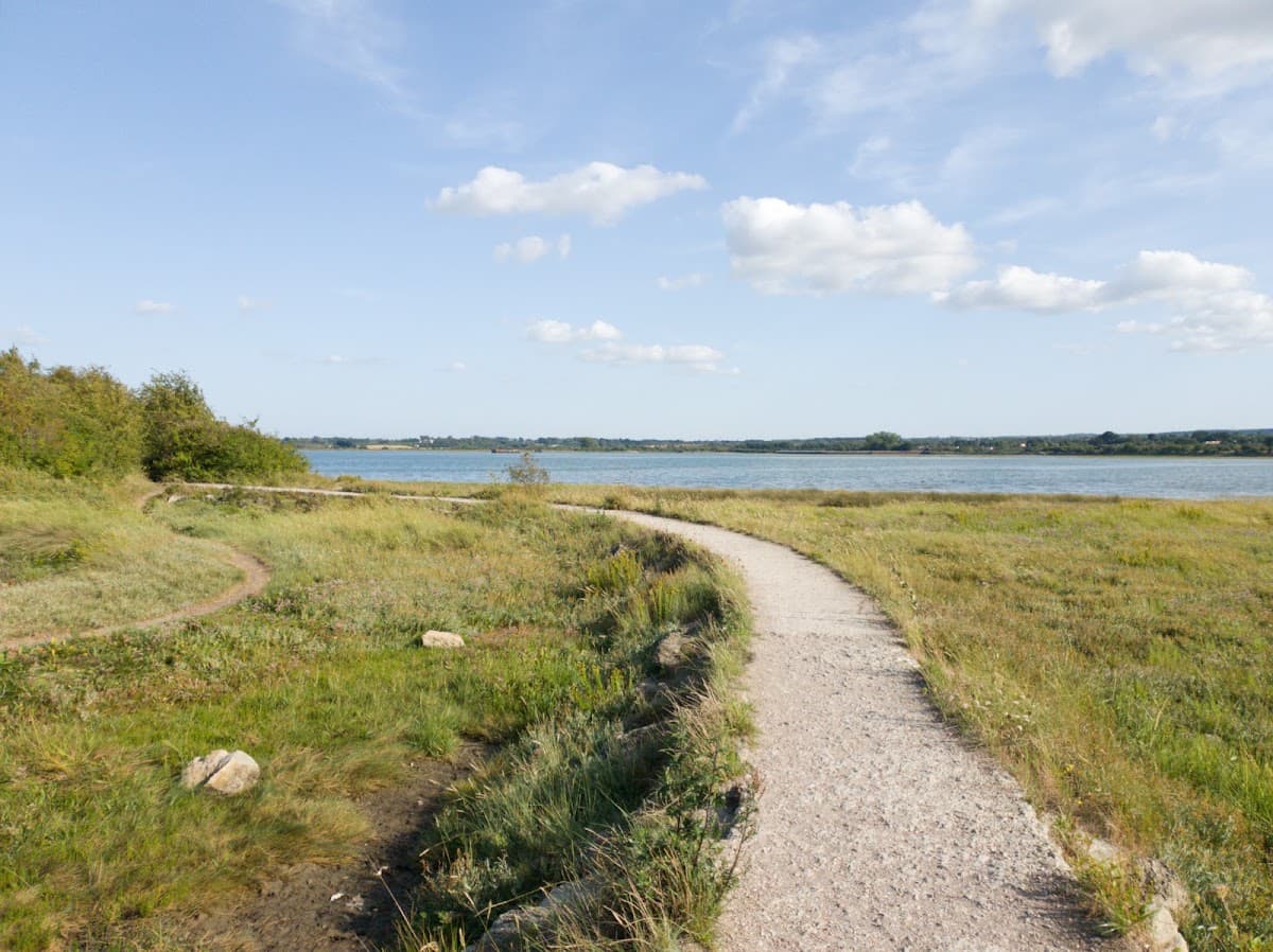 Riverside Country Park - Image 4