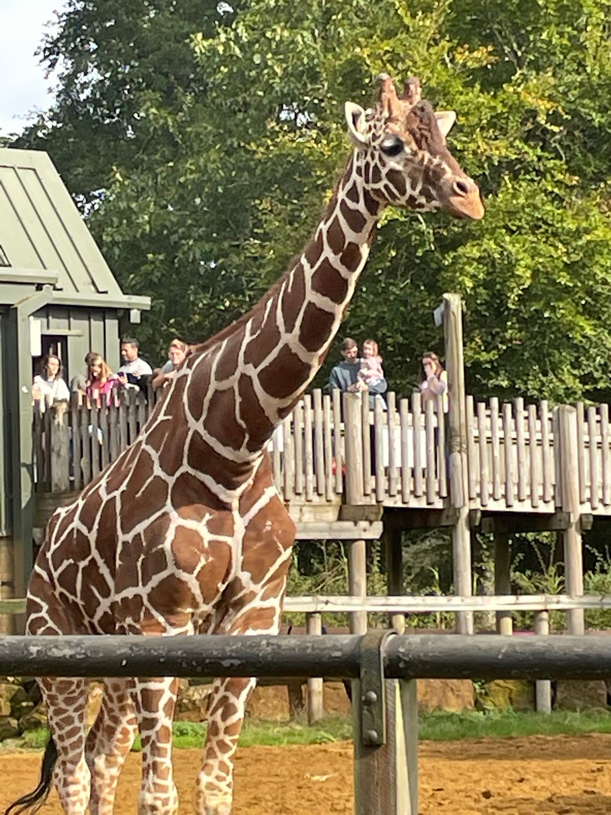 Whipsnade Zoo - Image 2
