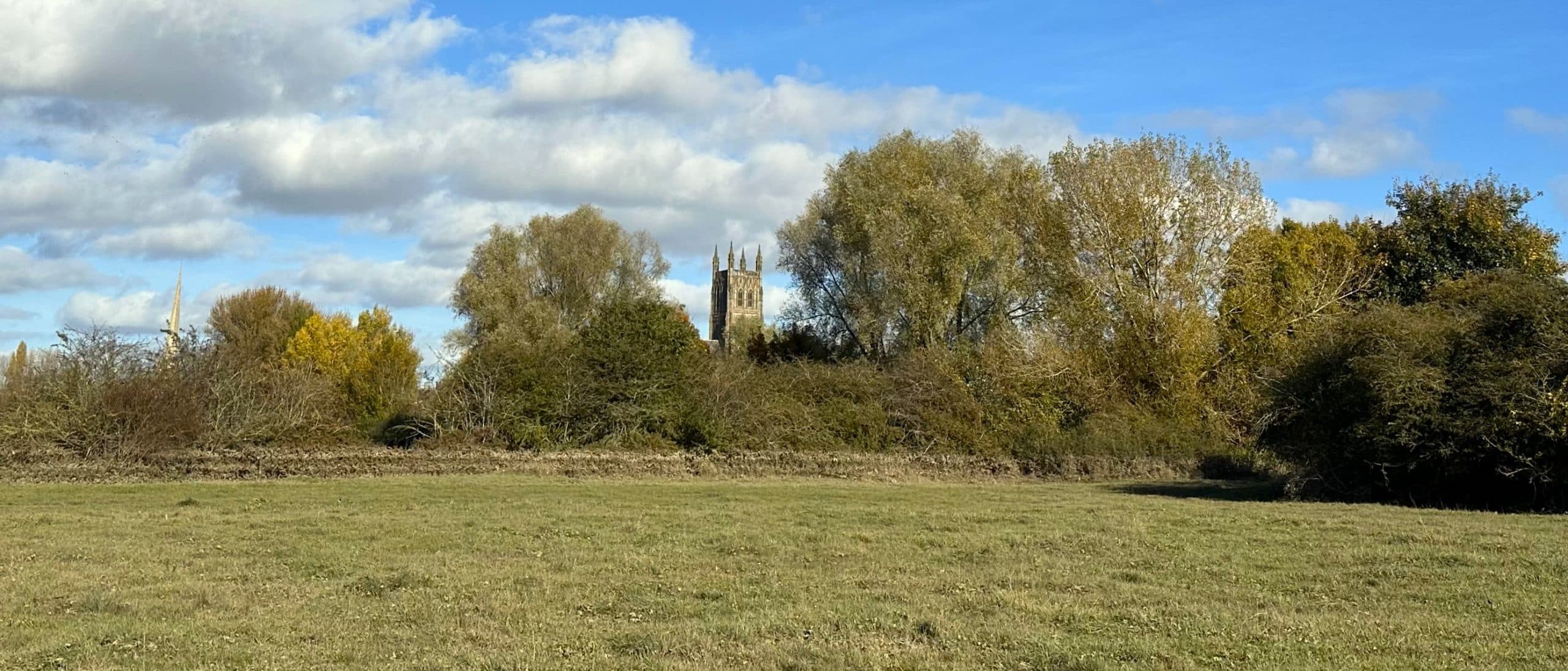 Chapter Meadows Nature Reserve - Main view