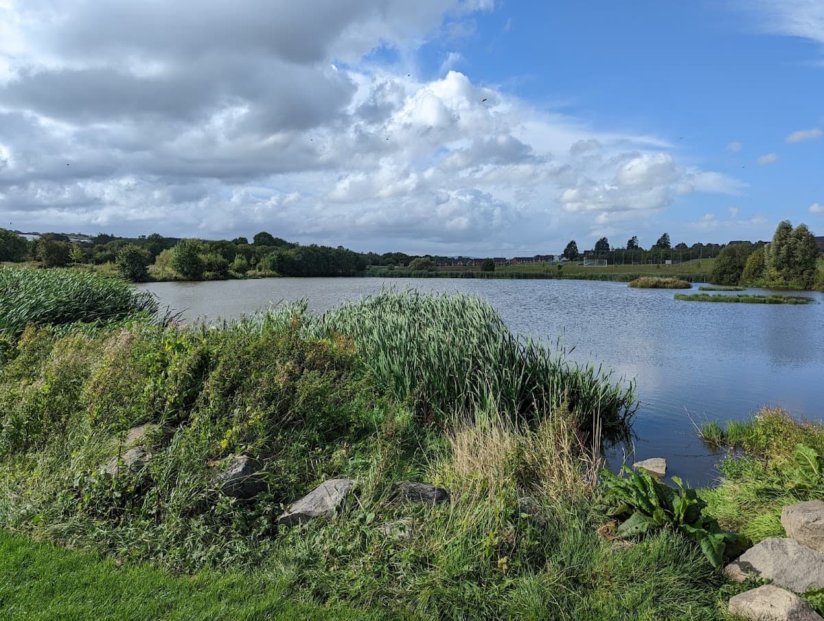 Billy Neill MBE Country Park - Image 2