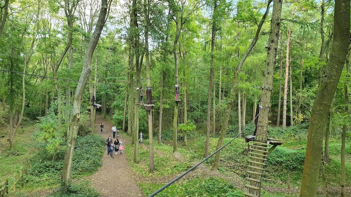 Jungle Parc - Image 3
