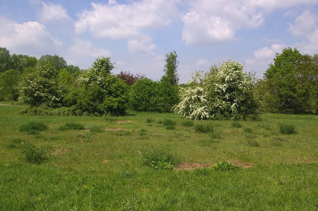 Jubilee Country Park - Image 2