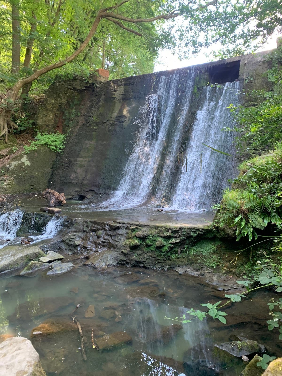 Wepre Park - Image 2