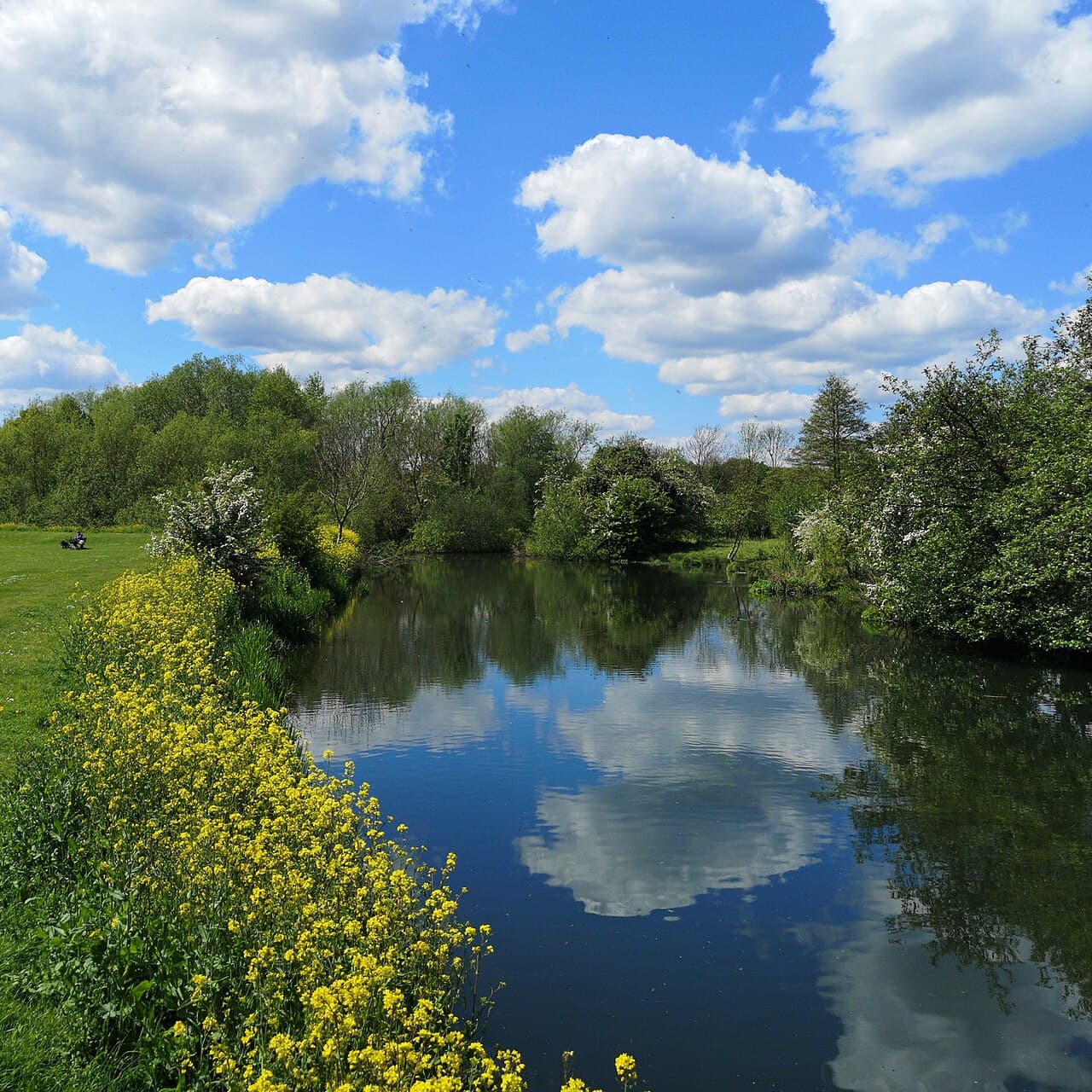 Hartham Common - Image 2
