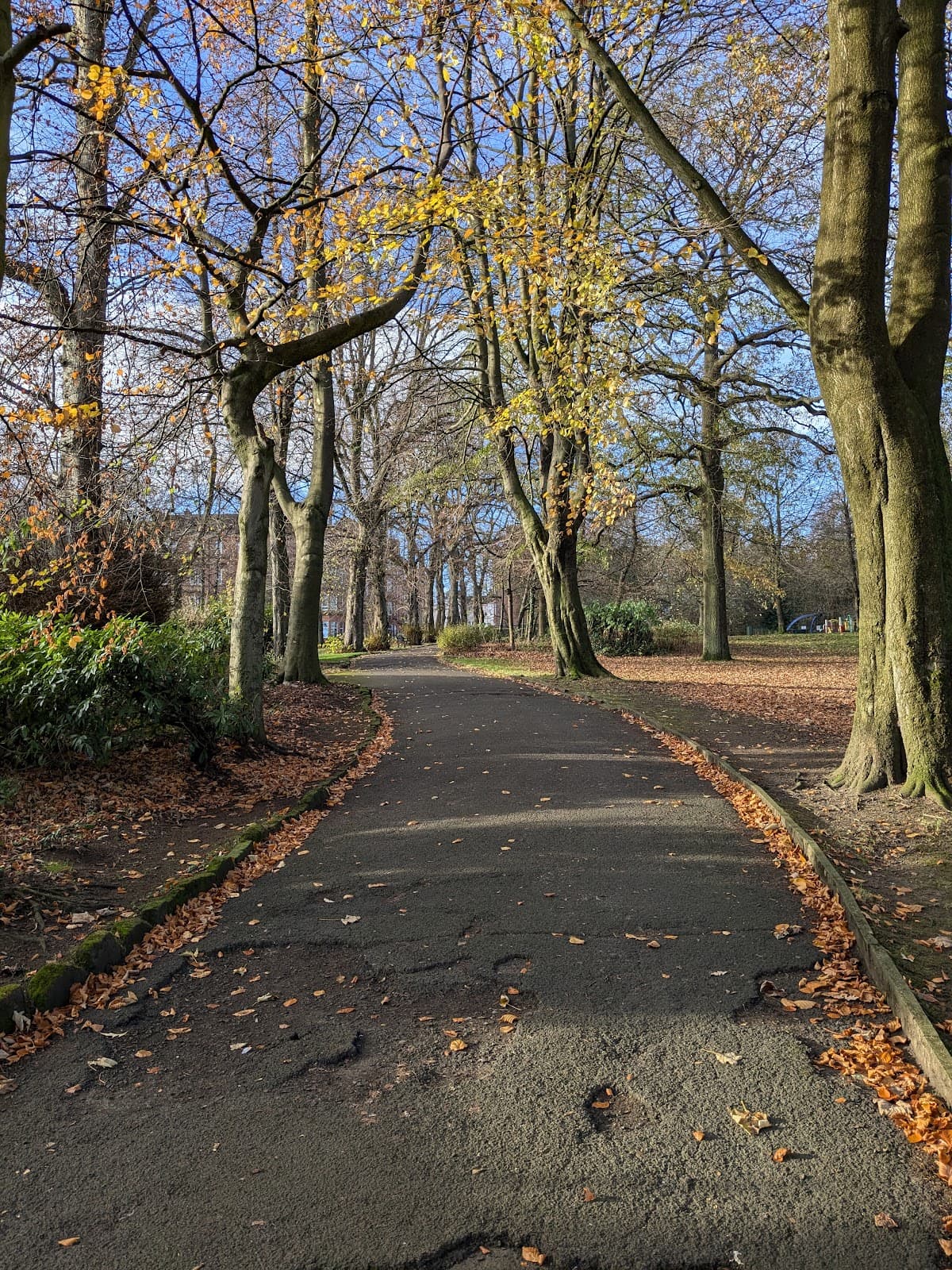 Cross Park - Image 1