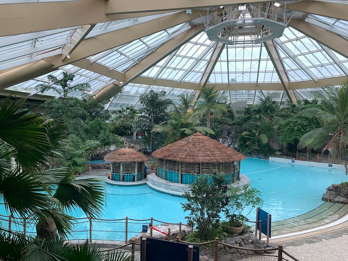 Subtropical Swimming Paradise - Image 4