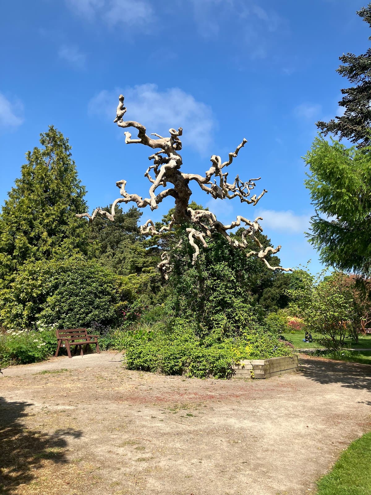 Cruickshank Botanic Garden - Image 2