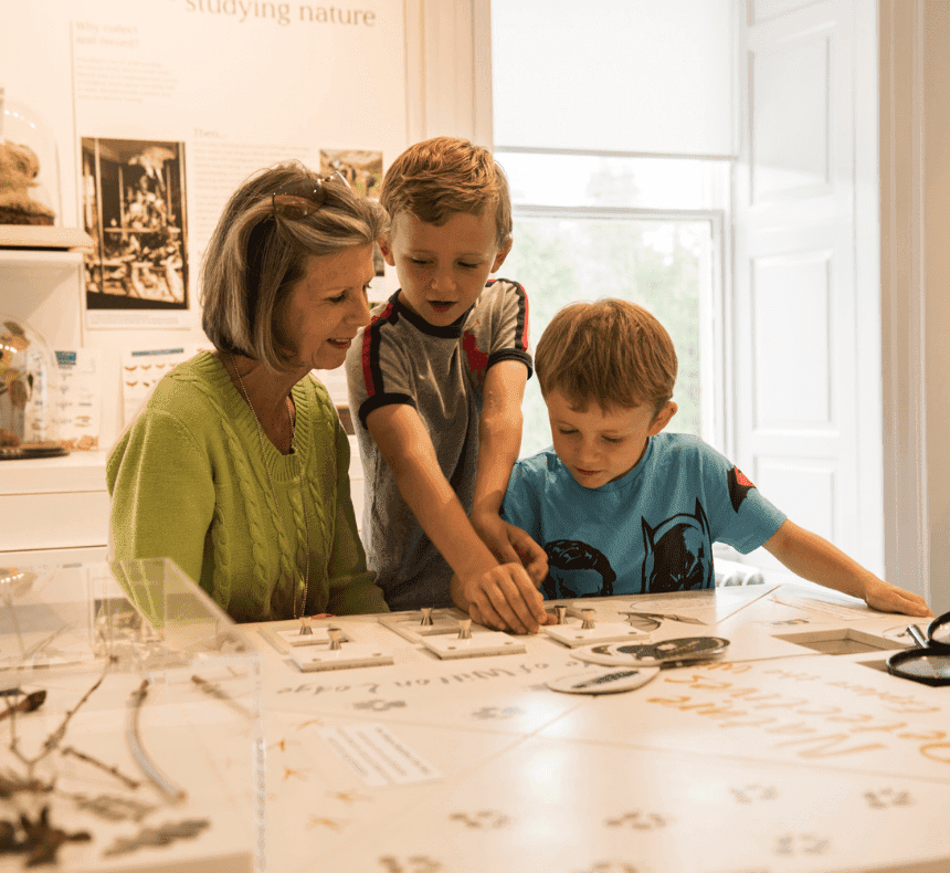 Hawick Museum - Image 5