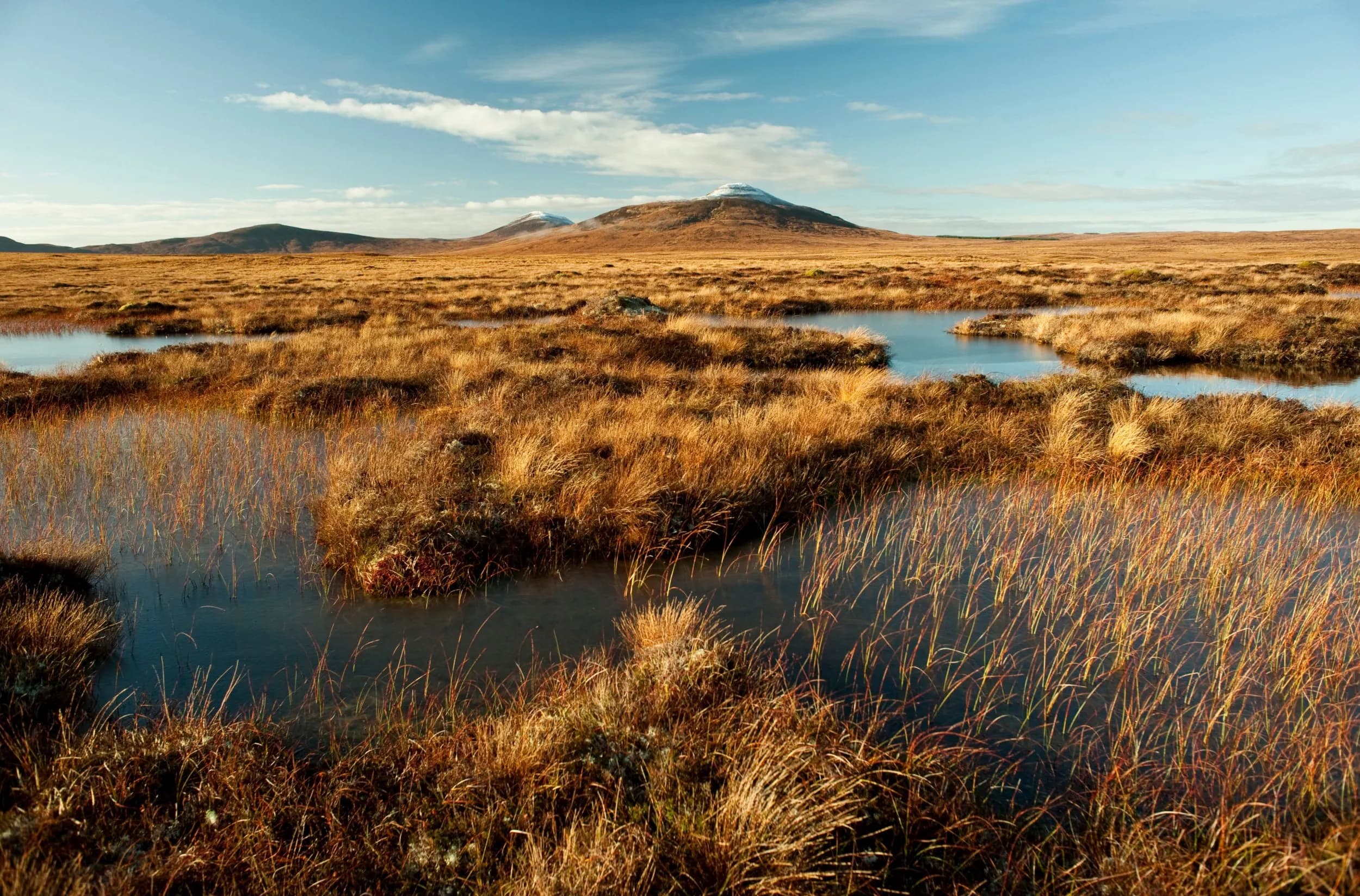 RSPB Forsinard Flows - Image 2