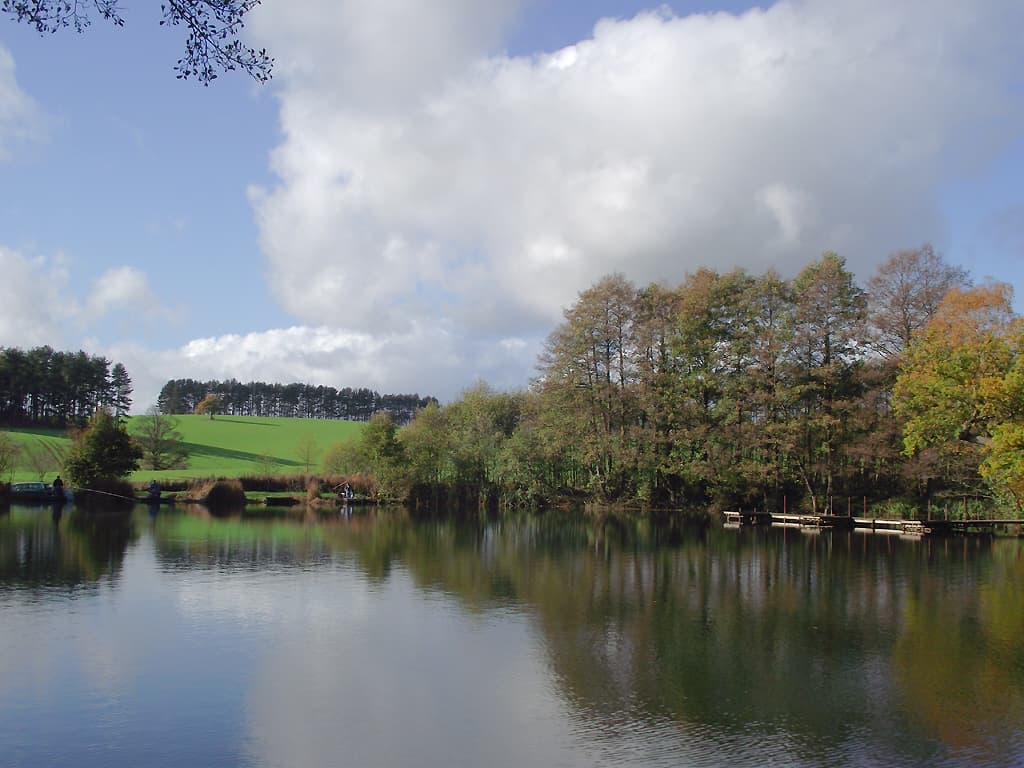 Baggeridge Country Park - Main view