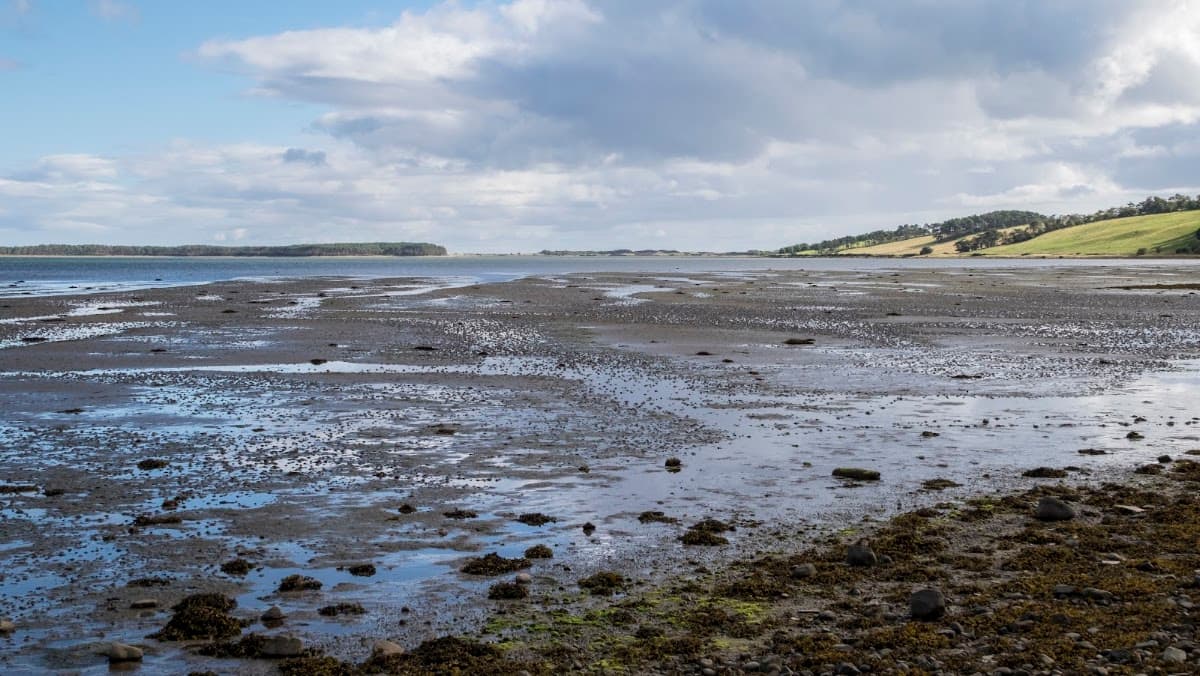 Loch Fleet National Nature Reserve - Image 3