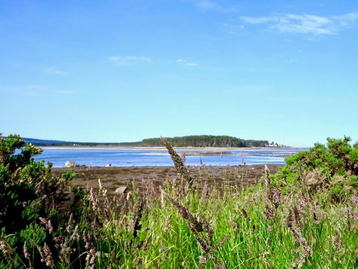 Loch Fleet National Nature Reserve - Image 4