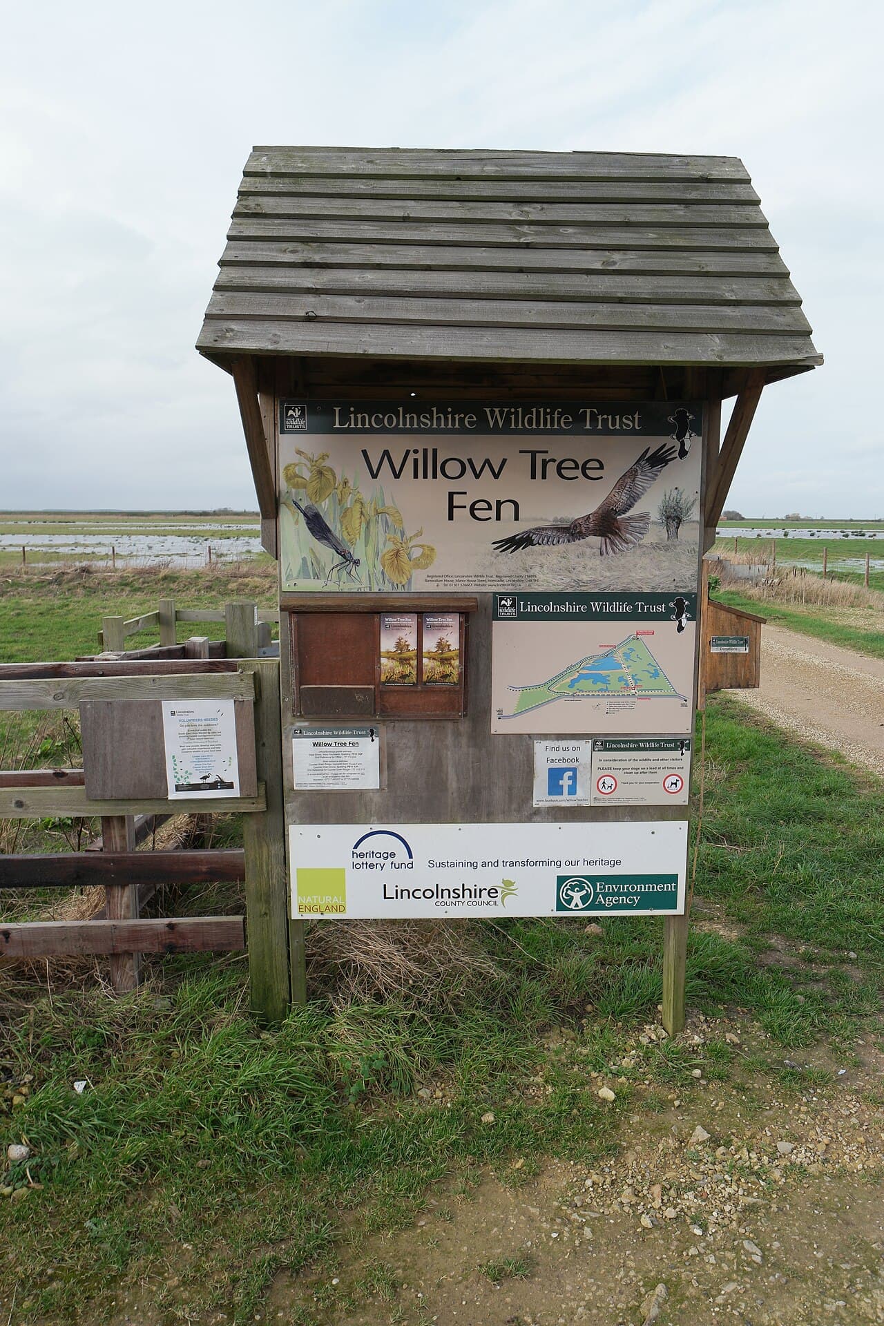 Willow Tree Fen - Main view